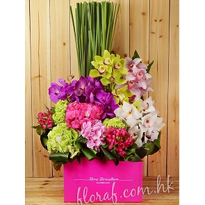 A39  送禮花盒 - 荷蘭蕙蘭、荷蘭繡球、萬代蘭 A39  送禮花盒 - 荷蘭蕙蘭、荷蘭繡球、萬代蘭